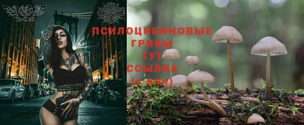каннабис Алзамай