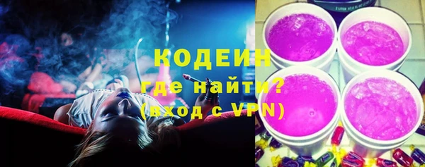 хмурый Алексин