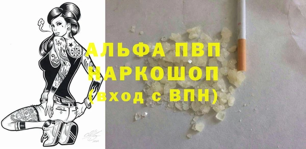 хмурый Алексин