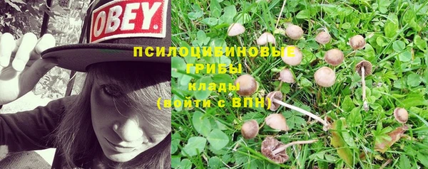 кристаллы Абинск