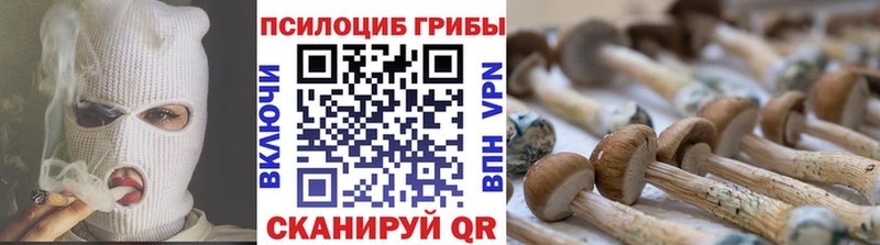 Галлюциногенные грибы прущие грибы  дарк нет Telegram  Миасс  гидра зеркало 