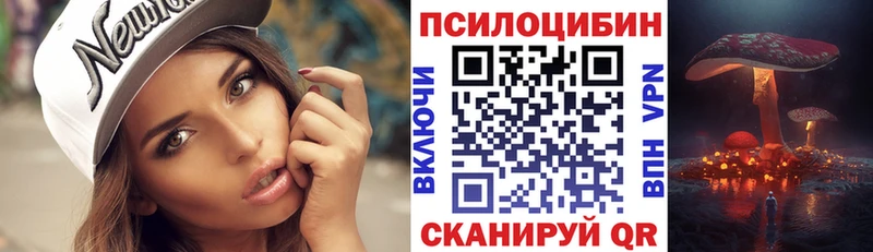 Псилоцибиновые грибы Psilocybe Миасс